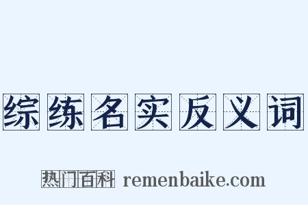 综练名实反义词是什么意思的图片